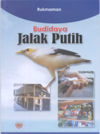 Budidaya Jalak Putih